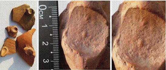 仰韶指紋 仰韶指紋