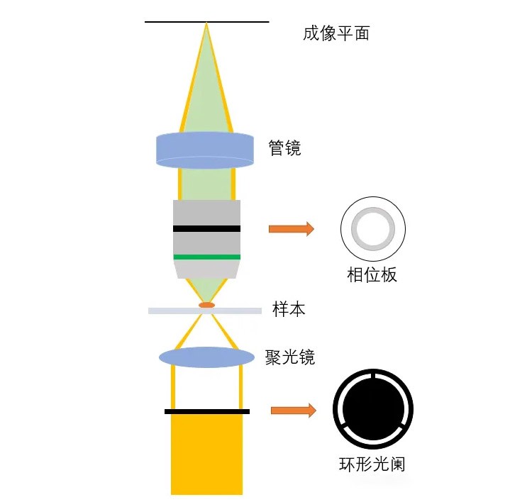 光學系統(tǒng)與工作原理