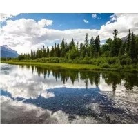 電磁波、紫外線和紅外線