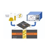 生物樣本光學傳感器中有色玻璃的應(yīng)用